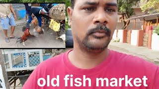 bhimavaram rest office road  | old fish market | natu kodi famous | stella vlogs bvrm ||