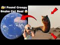 😱 Snake Cat and the Creepy in real life 🤯 on Google Earth #Vairal#gaming