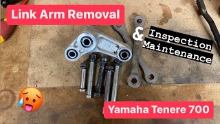 Link Arm Removal & Maintenance - Yamaha Tenere 700