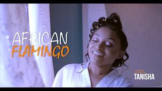 Stylo Black - African Flamingo (official video)