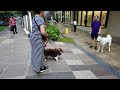 experience bgc on a weekend walk tour 2022 bonifacio global city taguig philippines 4k