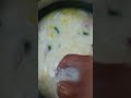 মরিচ পেঁয়াজ দিয়ে পান্তা ভাত । subscribe viral cooking রান্না iftar পান্তা