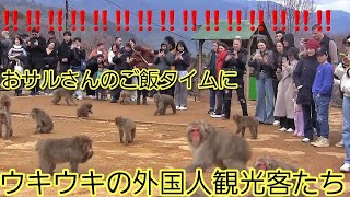 おサルさんのご飯タイムをウキウキで楽しむ外国人観光客