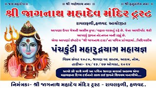 🔴શ્રી જાગનાથ મહાદેવ મંદિર ટ્રસ્ટ આયોજિત પંચકુડી મહારુદ્રયાગ મહાય‍જ્ઞ રાવલફરી હળવદ       તા-25/8/2024