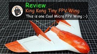 Review - King Kong/LDARC Tiny Wing 450 - Sweet Micro Wing ;-)