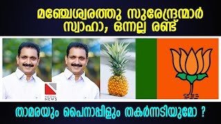 മഞ്ചേശ്വരത്തു സുരേന്ദ്രന്മാർ സ്വാഹാ.ഒന്നല്ല രണ്ടു, താമരയും പൈനാപ്പിളും തകർന്നടിയുമോ ?