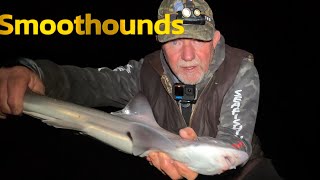 The secret bait for hunting Smoothounds -  with Tony Kirrage FULL DOCUMENTARY