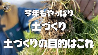 土づくりで大事なのはこれ！！家庭菜園でもできる【緑肥】を使った土づくり！【農家の家庭菜園】