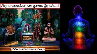 திருச்சி திருவானைக்கா மூலாதார இரகசியம்-சித்தர்கள் வழி