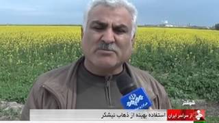 Iran Shushtar county, Sugarcane Water management مديريت آب برگشتي نيشكر شهرستان شوشتر ايران