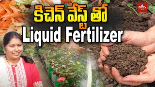 కిచెన్ వేస్ట్ తో Liquid Fertilizer  | Kitchen Waste Used As Liquid Fertilizer in Terrace Garden