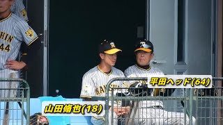 【まるでお爺ちゃんと孫】試合前にベンチで至近距離の平田ヘッドと話をする山田脩也【紅白戦】【阪神春季キャンプ】2024.2.12