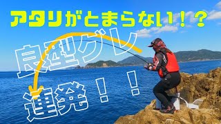 【連発】良型グレがとまらない！？秋目の磯で爆釣！！〈後編〉