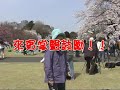 挪威的森林mv_x264_x264.mp4