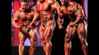 2011 Mr Olympia Review