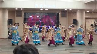 祭会「Layla」 京都さくらよさこい ゼスト御池会場