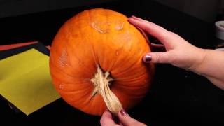 How to Decorate a Pumpkin With a Witch Face : Decorating Pumpkins