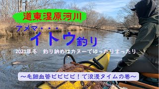 【2021年冬　道東湿原河川】カヌー釣行 アメマス釣れないならイトウ釣ればいい 浪漫タイムの巻