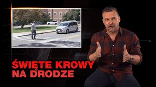 Piesi, czyli święte krowy ruchu drogowego