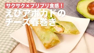 サクサク×プリプリ食感！えびアボカドのチーズ春巻き　｜　How To Make Shrimp ＆ Avocado Spring Roll with Cheese