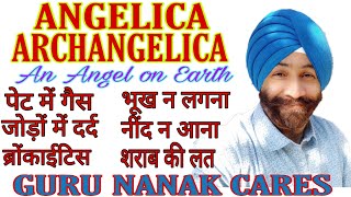 ANGELICA ARCHANGELICA-Angel on Earth | शराब की लत से पैदा हुए सिंप्टम्स दूर करे | Disgust for Liquor