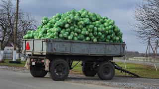 Ольшаны - огуречная столица, часть вторая. Вид сверху. #ВАСЬКАПИЛОТ