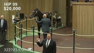 Dana's Beauty sells for $450,000 at Keeneland April