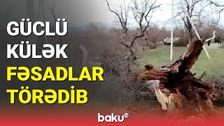 Oğuzda güclü külək fəsadlar törədib - BAKU TV