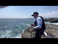 3月下旬の島野浦・マルバエのクロ釣り