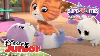 Superkitties: Un día con los SuperKitties | Disney Junior Oficial