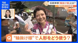 夏の風物詩「輪抜け様」って一体どんな神事？高知県の「土佐神社」をすたすた中継｜TBS NEWS DIG