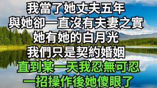 我當了她丈夫五年，與她卻一直沒有夫妻之實，她有她的白月光，我們只是契約婚姻，直到某一天，我忍無可忍，一招操作後她傻眼了【淺談夕陽下】#圍爐夜話#花開富貴#爽文#落日溫情#閱讀茶坊#情滿夕陽#深夜淺讀