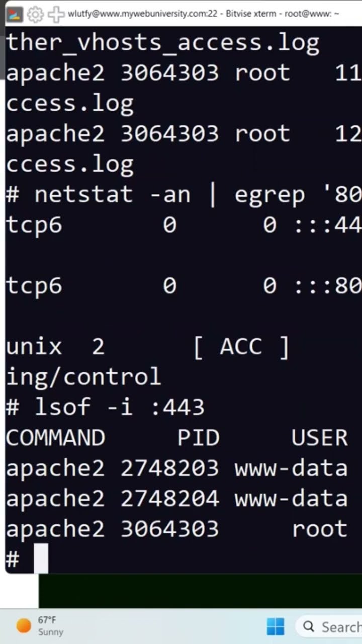 Linux Use 'lsof -i:443' to see LSOF for secure port 443 (https)