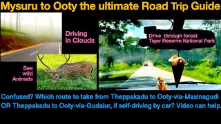 Mysore to Ooty Self-Drive Guide | Best Route | All you need to know |