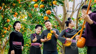 SAPA TV | VƯỜN CAM ĐƯỜNG CANH TRĨU QUẢ CHUẨN BỊ LỄ HỘI TRÁI CÂY BẮC NINH VÀ ĂN LẨU CUA DA CỰC NGON