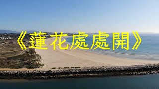 《蓮花處處開》純音樂推薦古琴簫曲加長完整版，一念心清靜 | 心靈音樂 | 冥想音樂 | 舒緩助眠音樂 | 禪修音樂 | 平靜心情