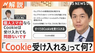 効果はある？スマホ「週1回 再起動」…米NSAも推奨　「Cookie受け入れ」リスクは？【Nスタ解説】｜TBS NEWS DIG