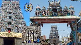 திருநள்ளாறு பச்சைப் பதிகம் | Thirunallar Pachai pathigam | Thevaram |  The Divine Solutions