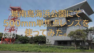 [#183] 城南島海浜公園にて５００mm単焦点レンズを使ってみた。