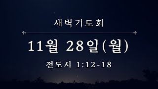 신내 대광교회 새벽예배 22-11-28 전도서 1장 12~18절