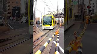 【鹿児島市電1019号】【新川4号踏切】を通過します。　　　#shorts  #路面電車  #tram