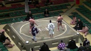 大相撲.2017.1.8⑮/肥後ノ城(higonojo)-安芸乃川(akinokawa) /day 1 #sumo