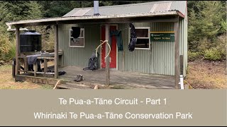 Te Pua-a-Tāne Circuit (Part 1) - Whirinaki Forest Park