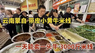 云南蒙自，本地人最爱的带皮小黄牛米线，一天卖1头牛3000斤