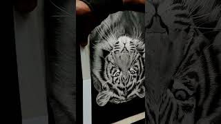 Unmasking Hyperrealistic Tiger Drawing🔍😍 #shorts #artist #art #drawing #artwork