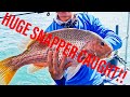 HUGE SNAPPER CAUGHT! Southern Waters Offshore. Sea Charter 1, Captain Daniel. Grouper hunting!!