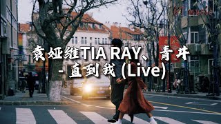 袁娅维TIA RAY/青井 - 直到我 (Live)『我真的想过 离开这就不再回来，我不属于这片地带。』【动态歌词MV】