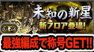 【億兆チャレンジ】アグリゲートで初日クリア！圧倒的な耐久力と火力で未知の新星『混沌の億兆龍』を破壊する！！！【パズドラ】