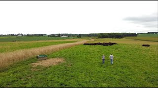 Rotational Grazing Practices: Lessons Learned from Rebelstone Land and Livestock