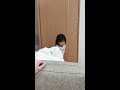 プンプン！2歳の凜可愛い怒り方😂